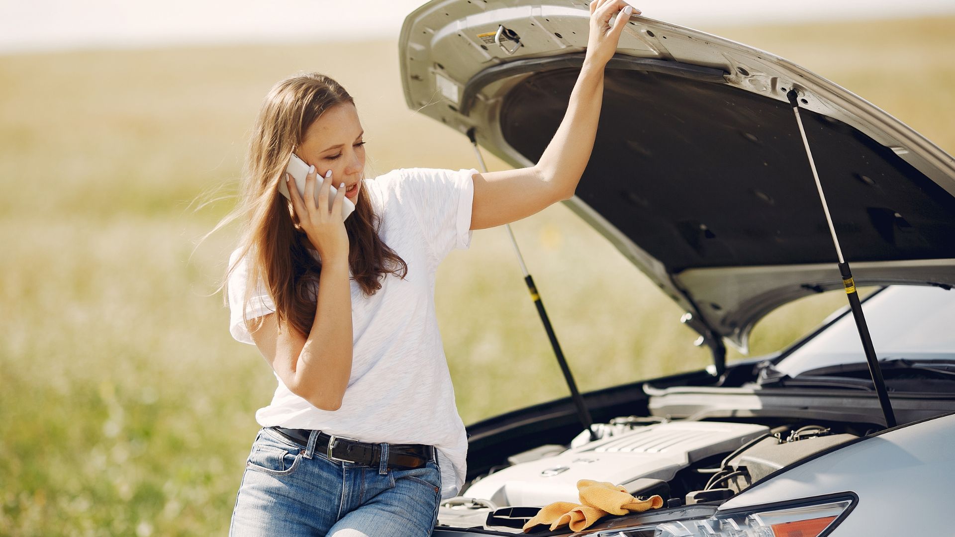 Vivicar_Basic_Online_Course_15