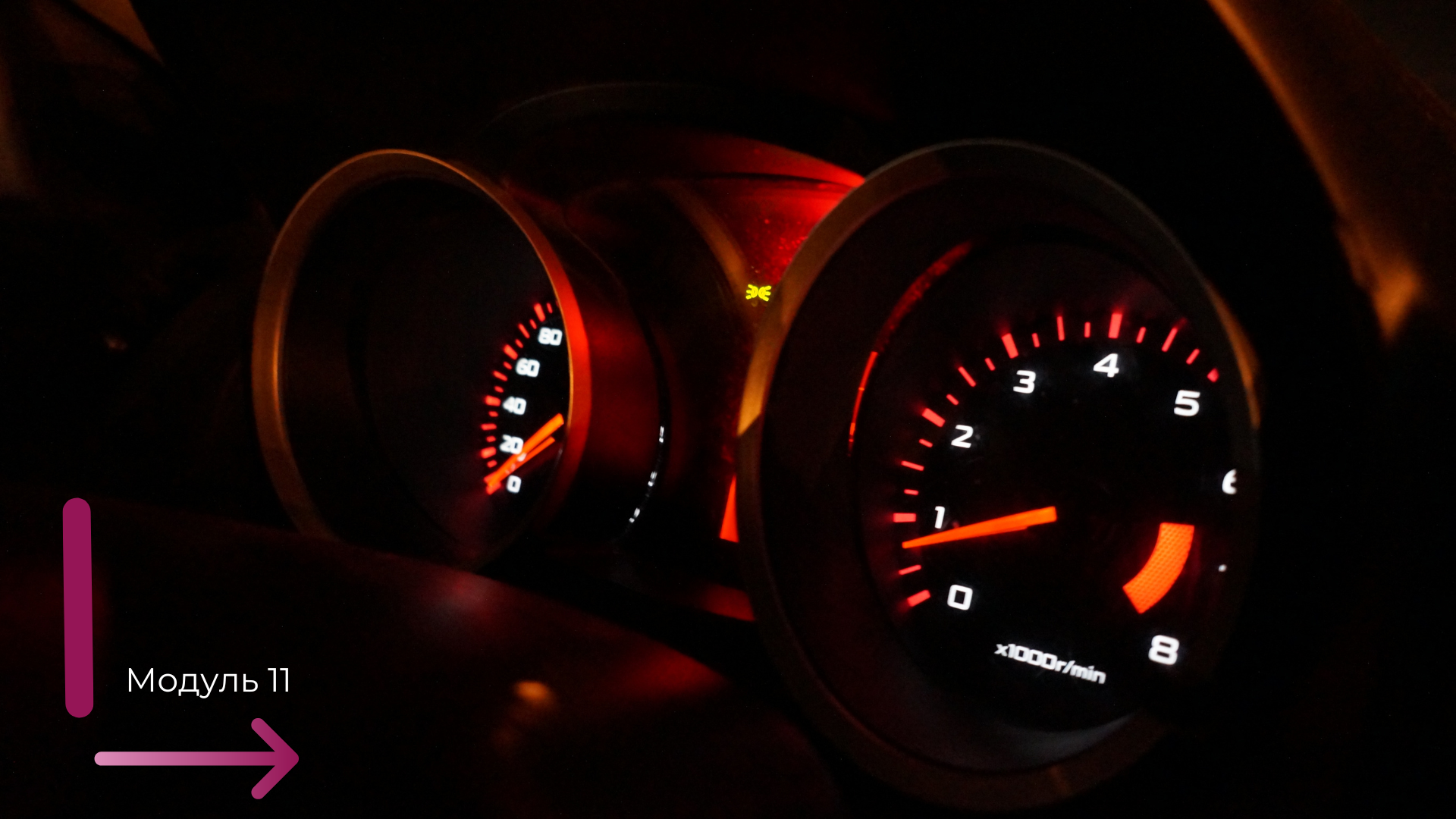 Vivicar_Basic_Online_Course_kopiya_31