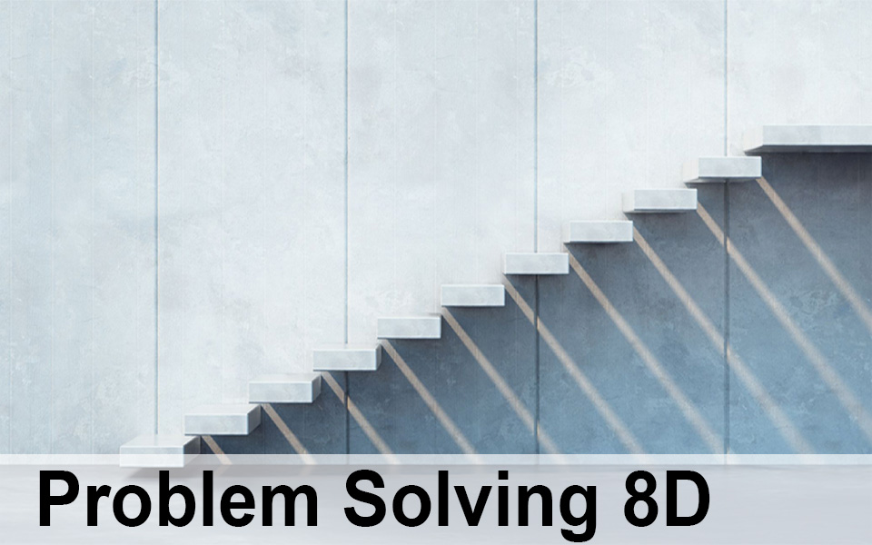 Problem Solving 8D