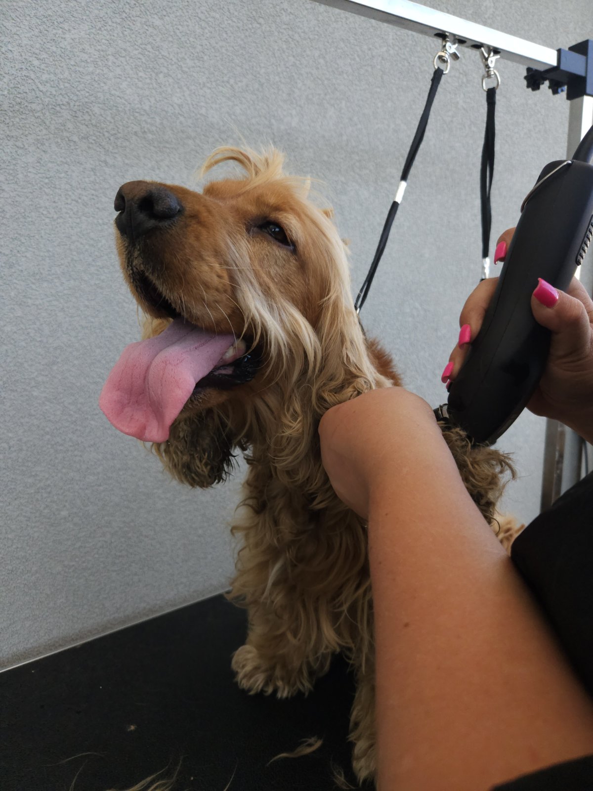 зображення_viber_2025-08-22_11-26-16-077