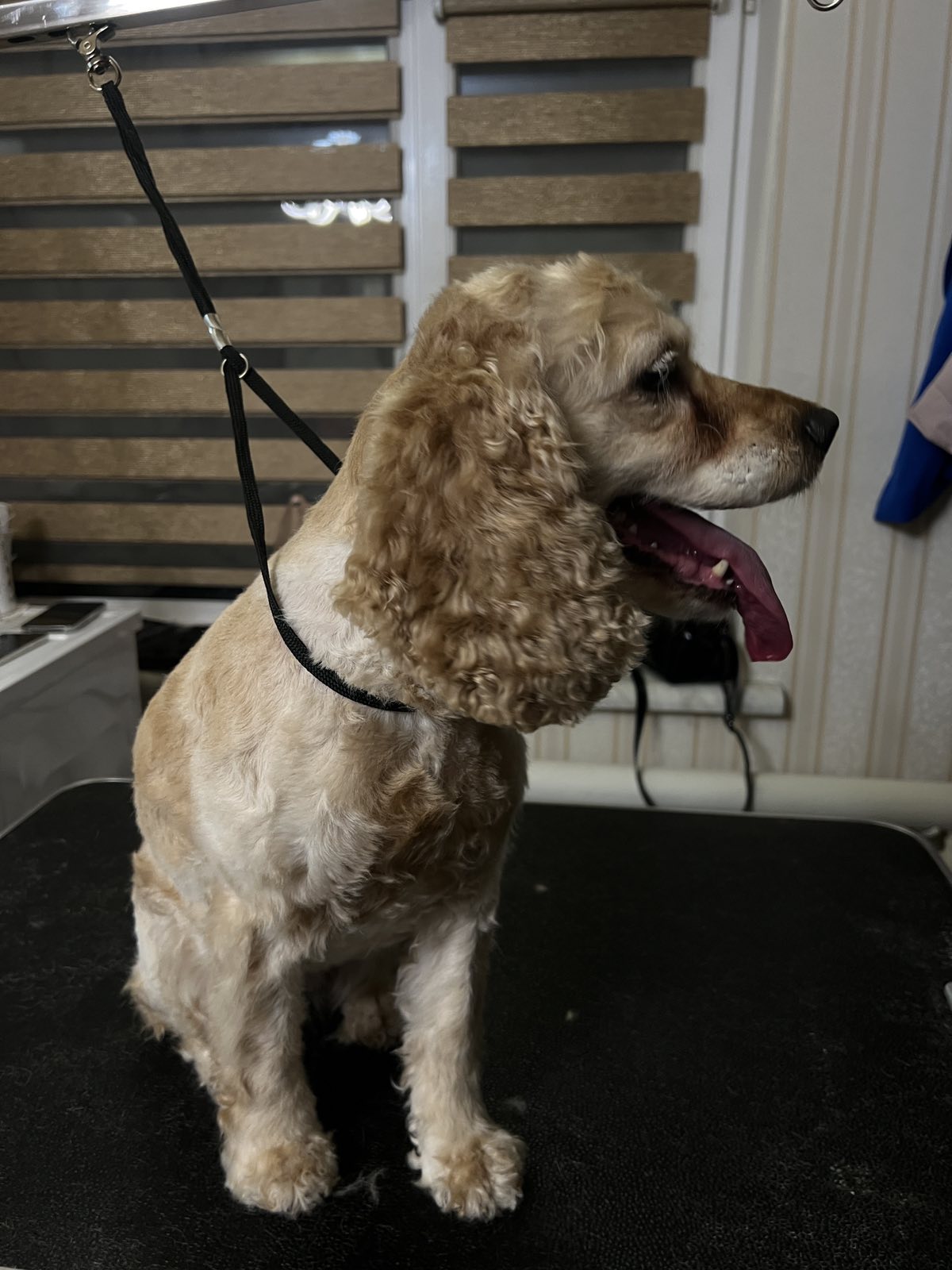 зображення_viber_2025-08-22_11-28-27-256