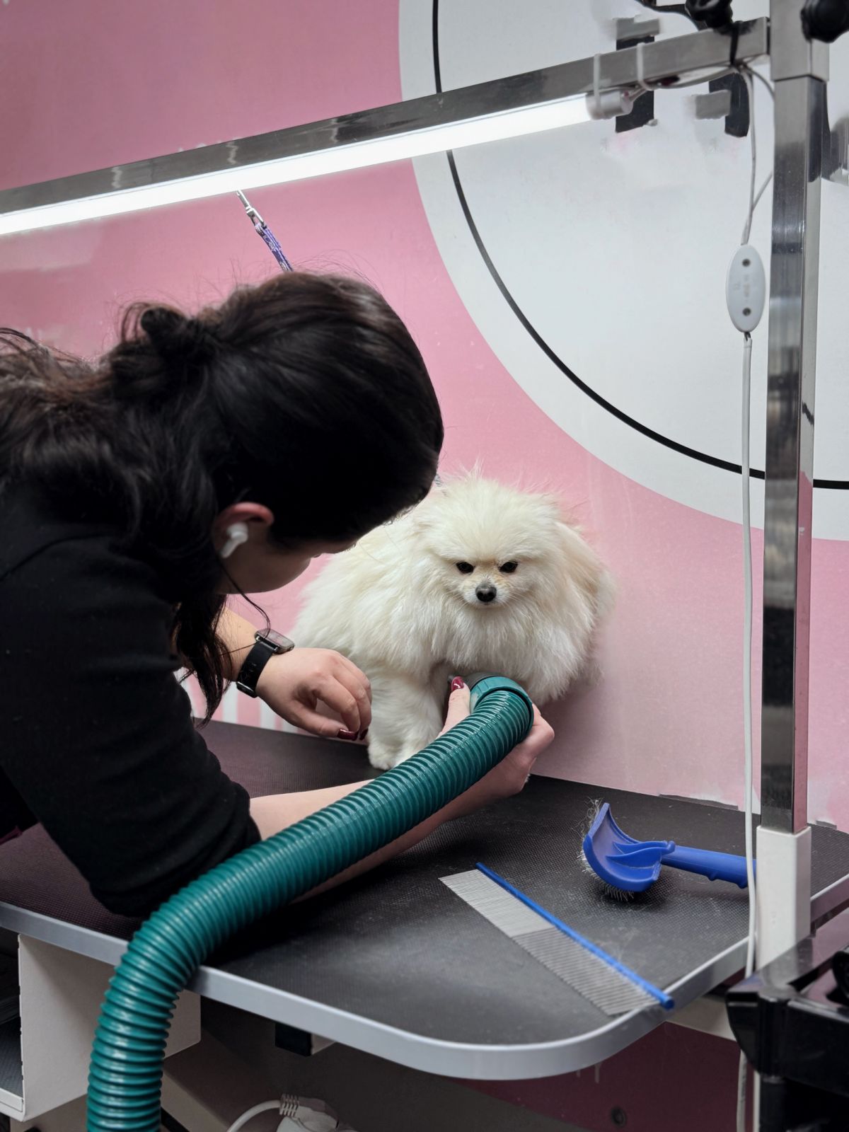 зображення_viber_2025-08-22_11-28-27-365