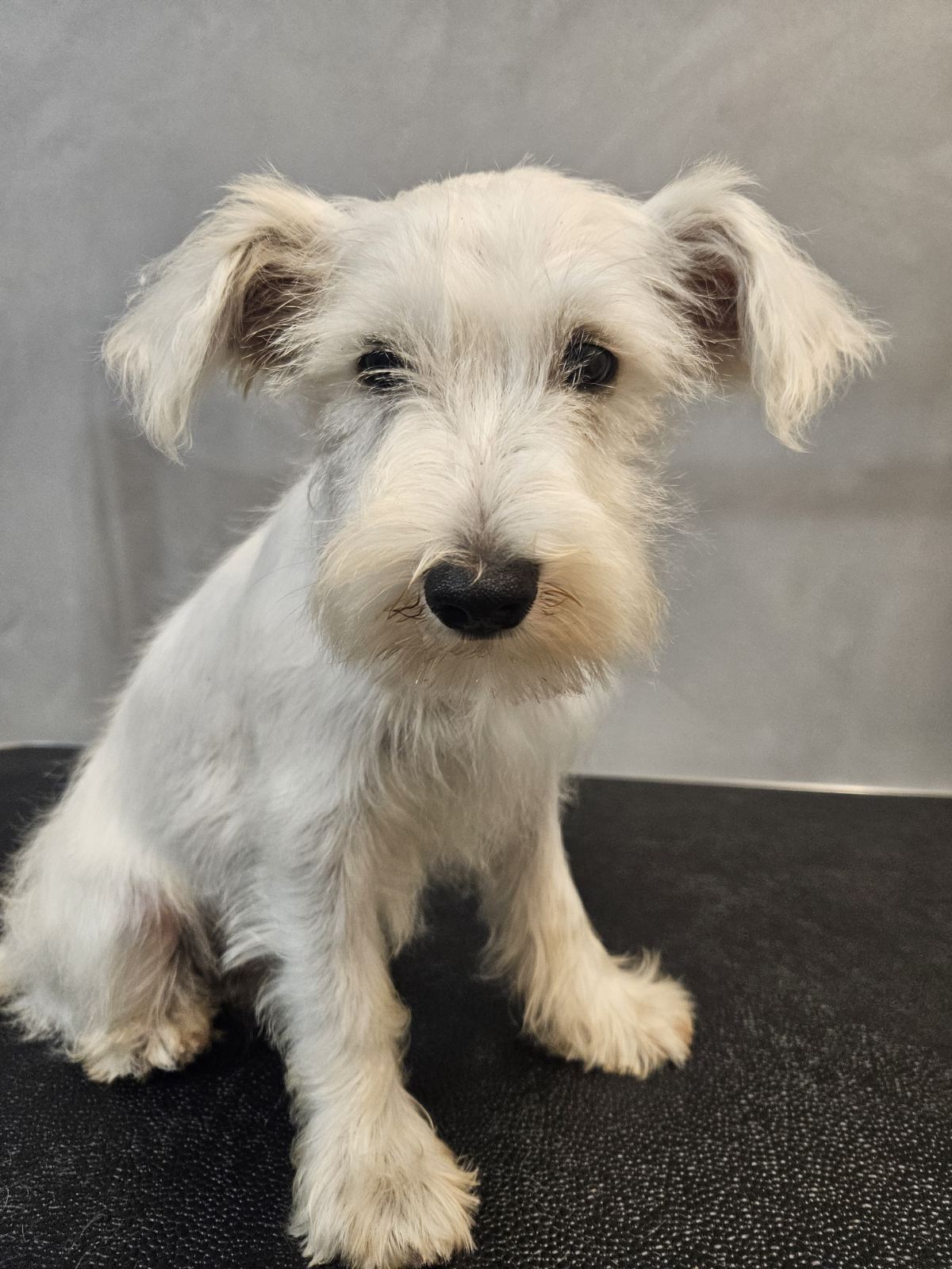 зображення_viber_2025-08-22_22-52-31-256