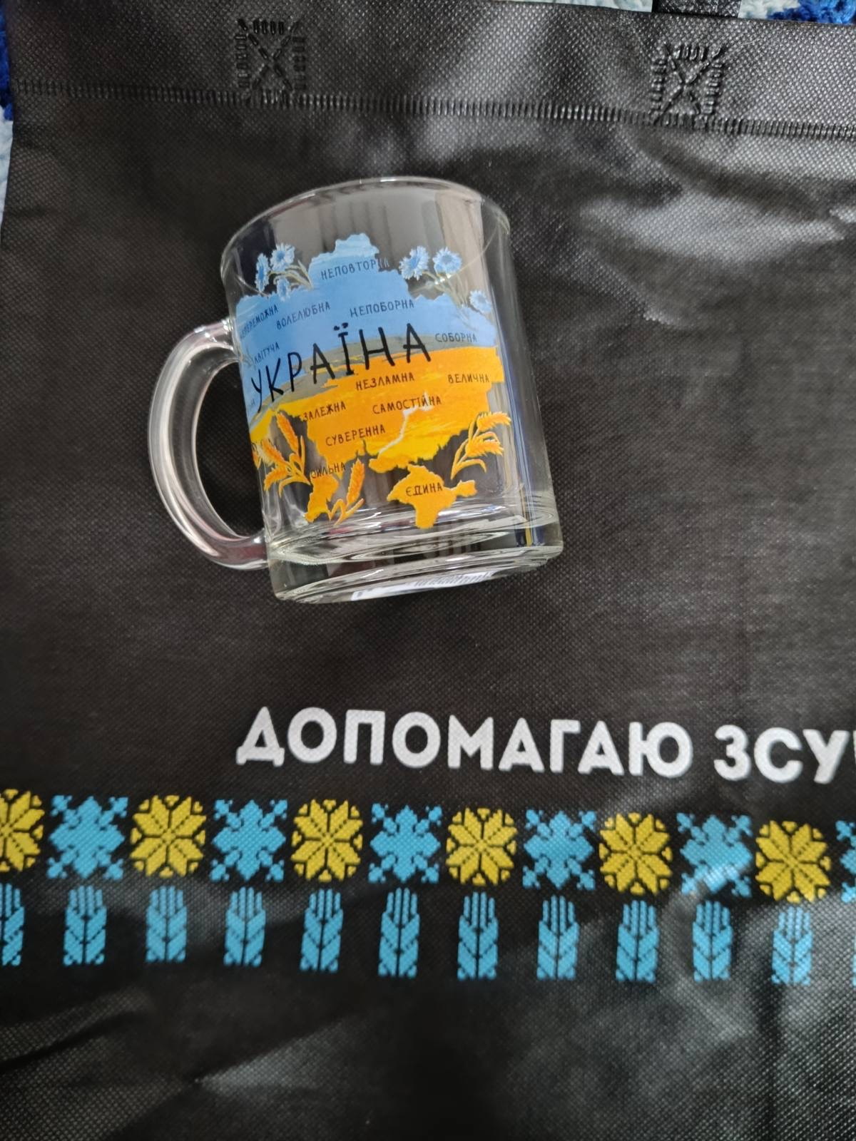 UH-N-NS-Mug-Ukr