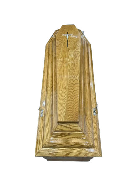 1730051419621932-removebg-preview