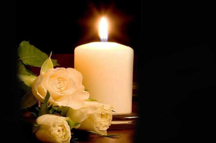 5355123249840778288_00