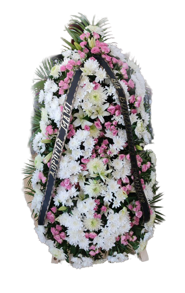 removal_ai_93fc2c55-f01c-462d-badf-a892a08766fa-img_8339254