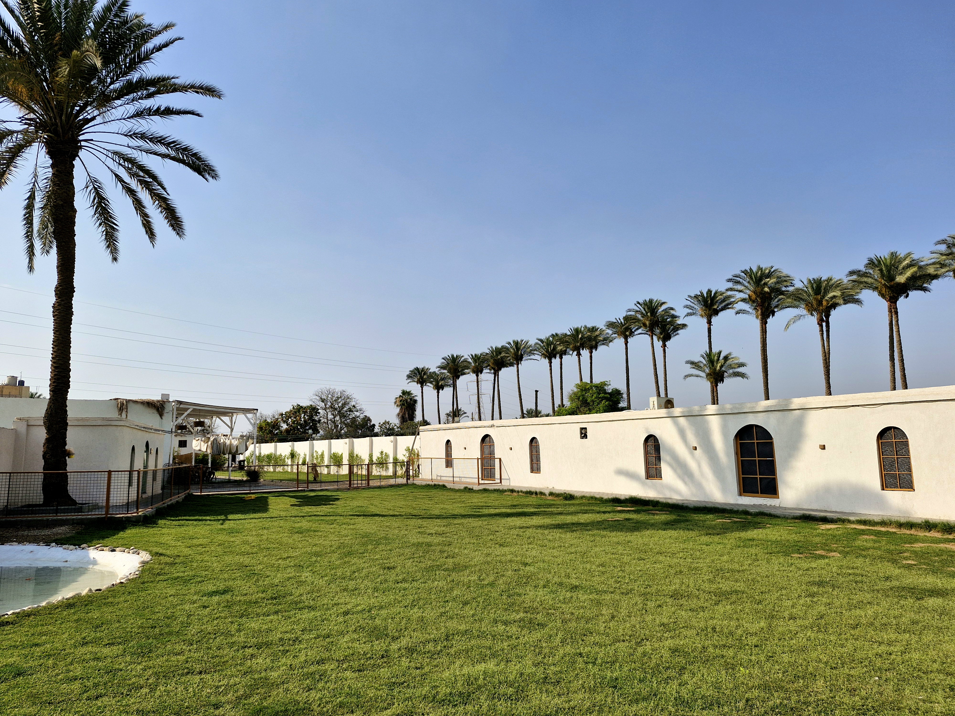 The Dogs Resort Park | Where the dogs enjoy