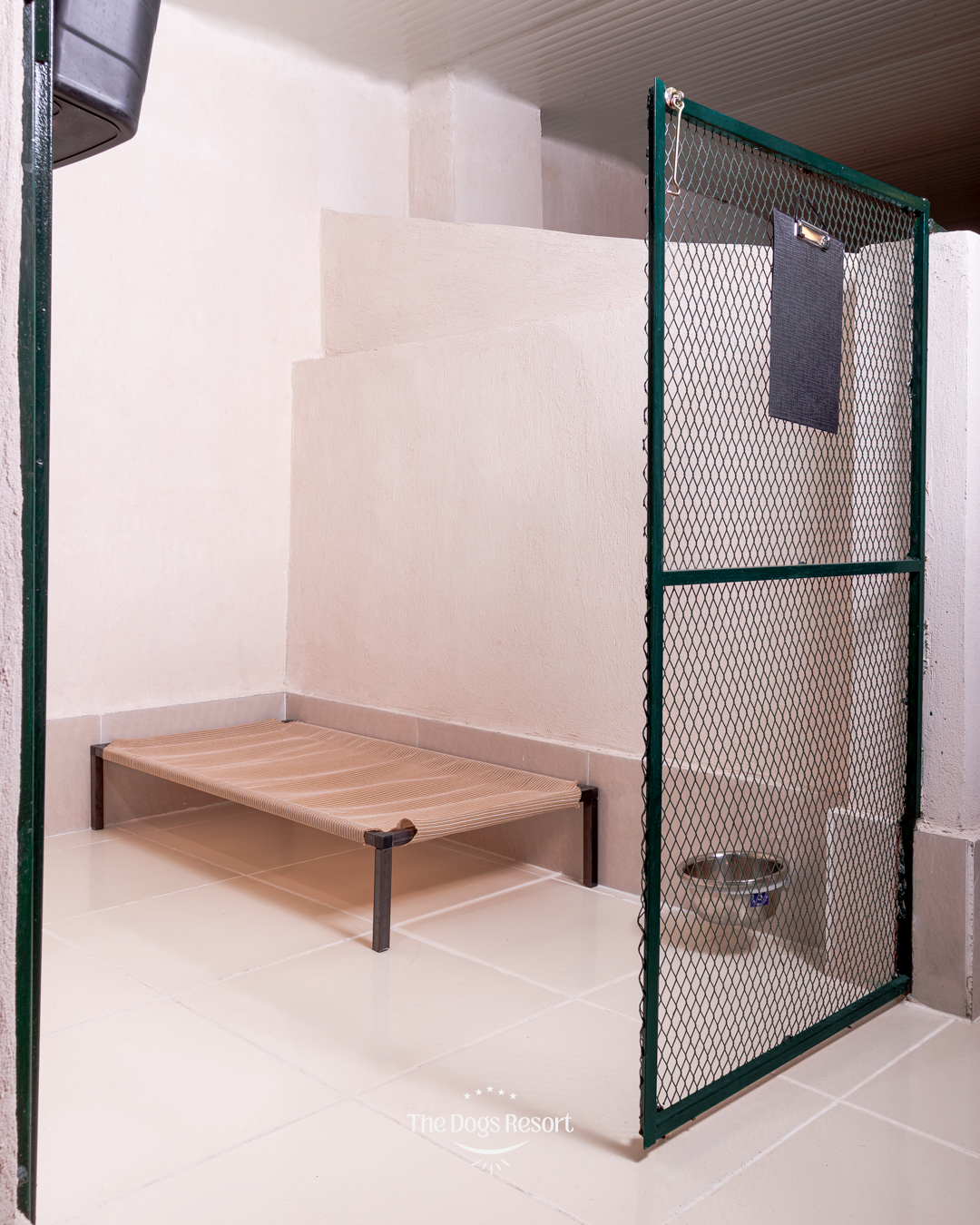 Basic Dog Boarding Room