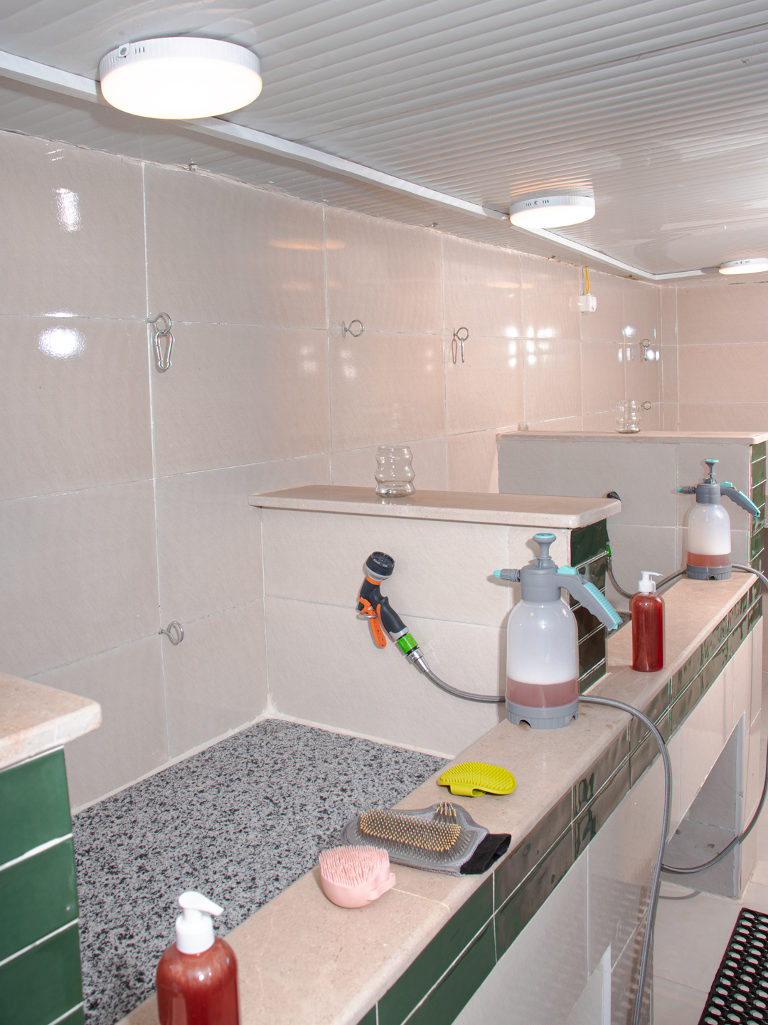Dog Shower place