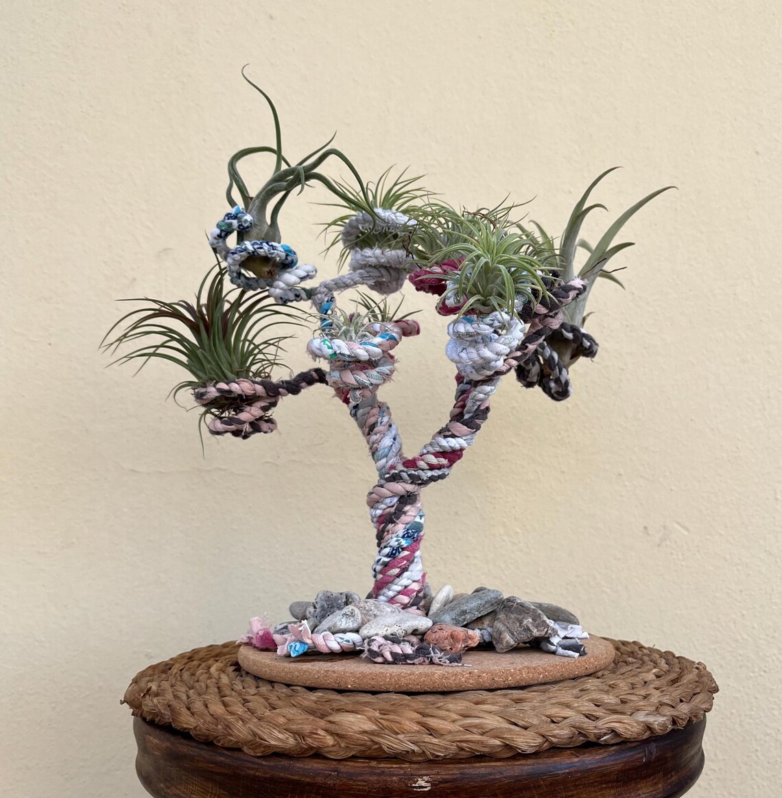 recycled_holder_9_plants