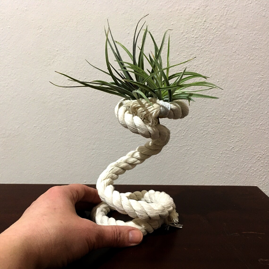 spiral_white