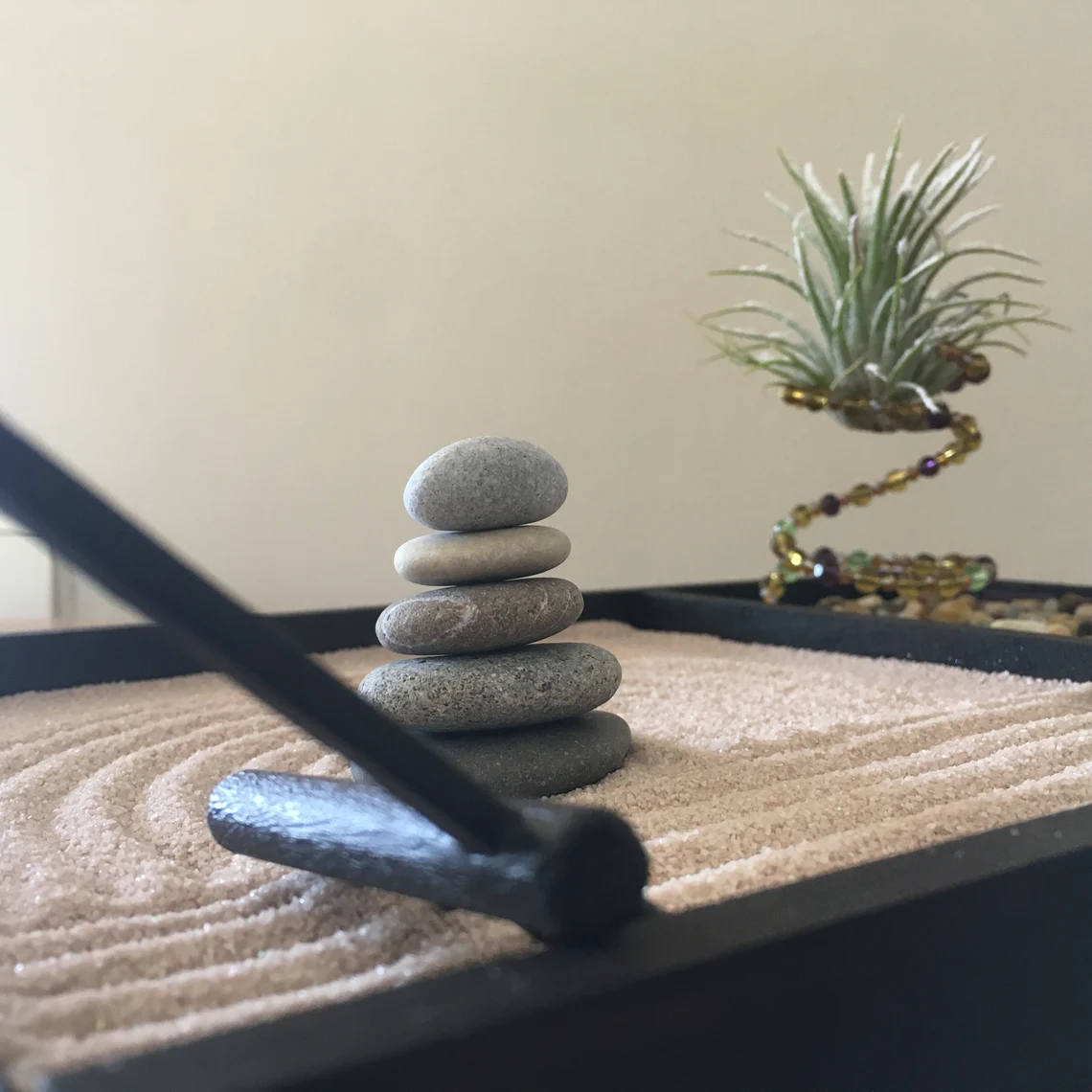 bamboo_zen