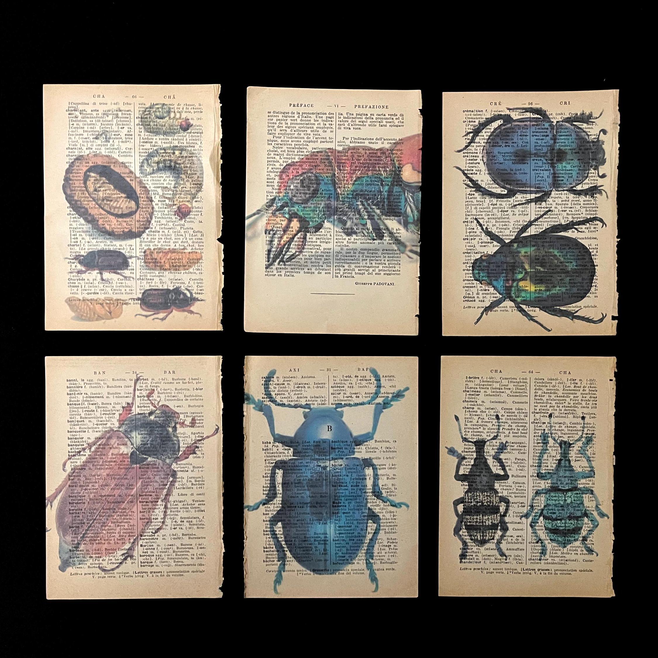 il_fullxfull_6522528168_5yk1_1