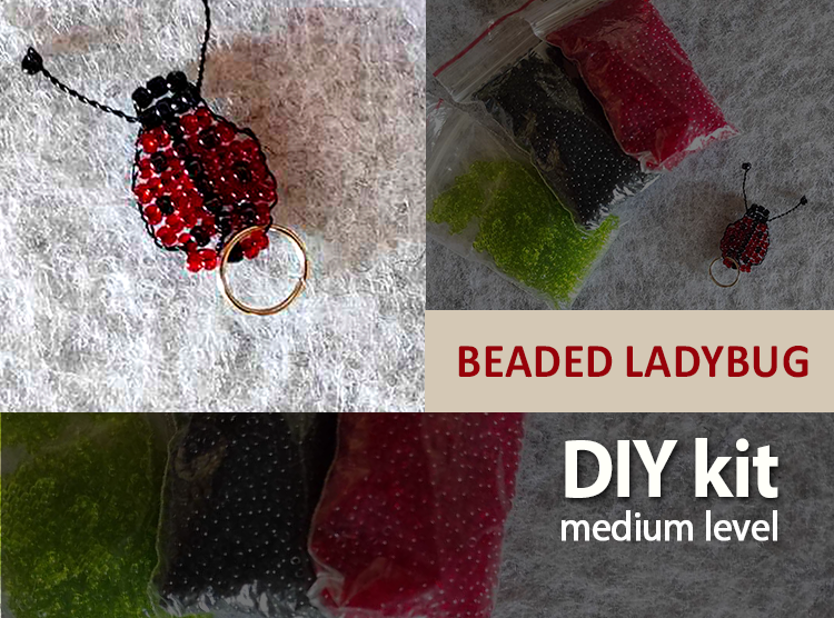 diy_ladybug