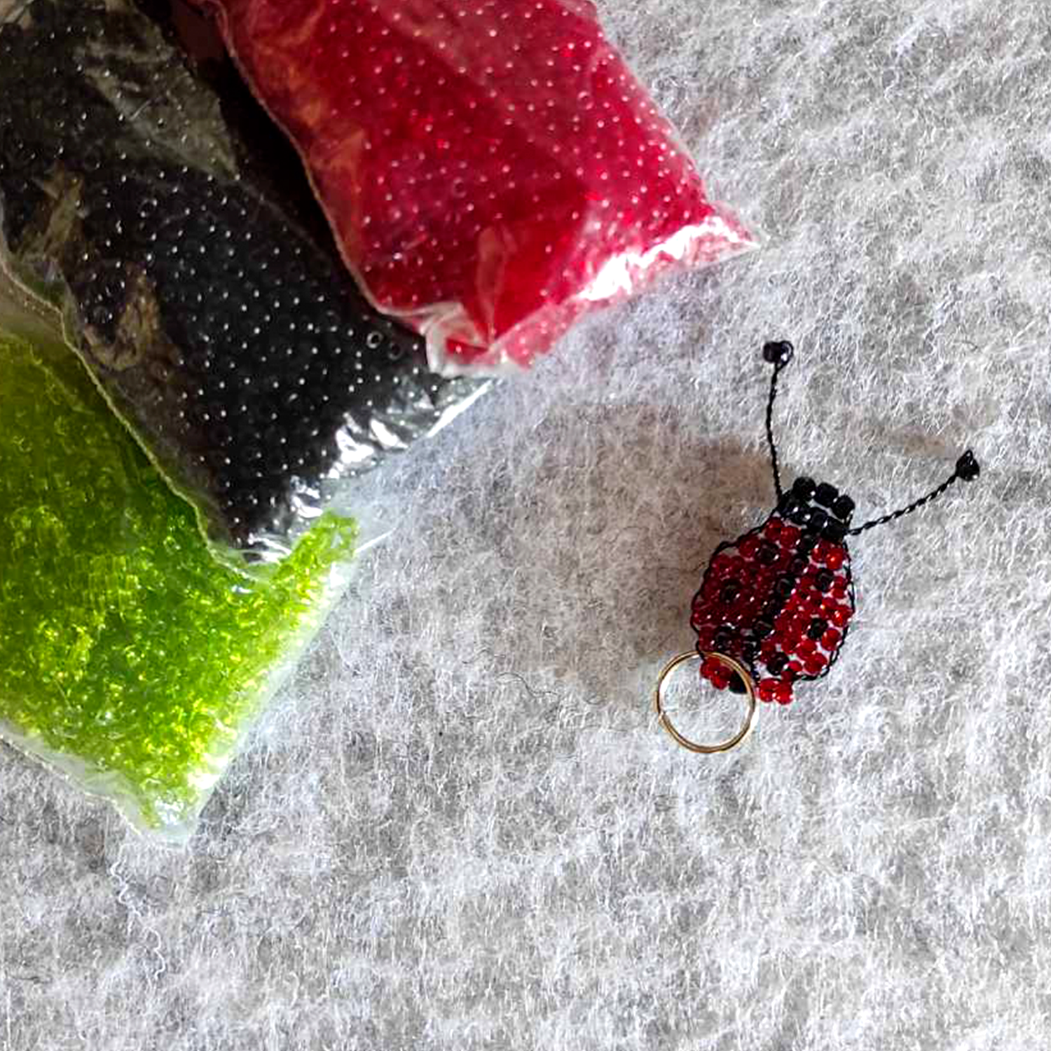 ladybug