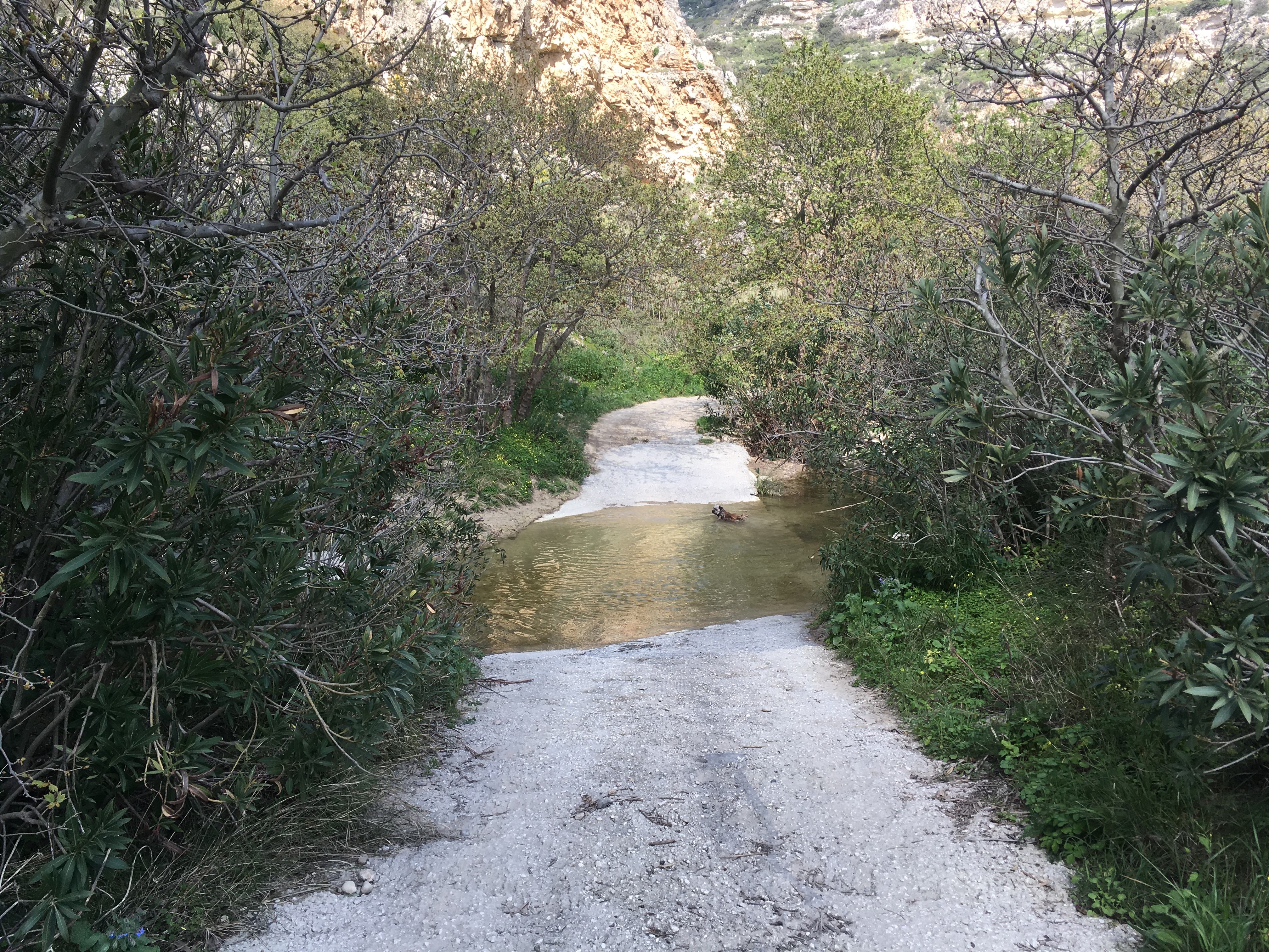 cretan_road__
