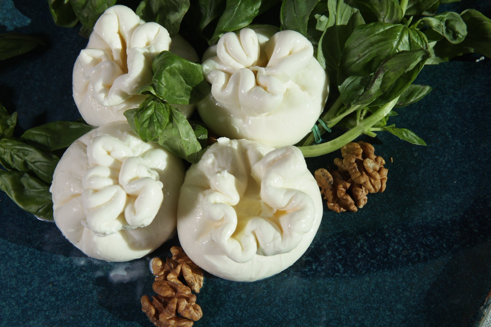 zobrazhennya_viber_2023-08-29_11-34-27-191