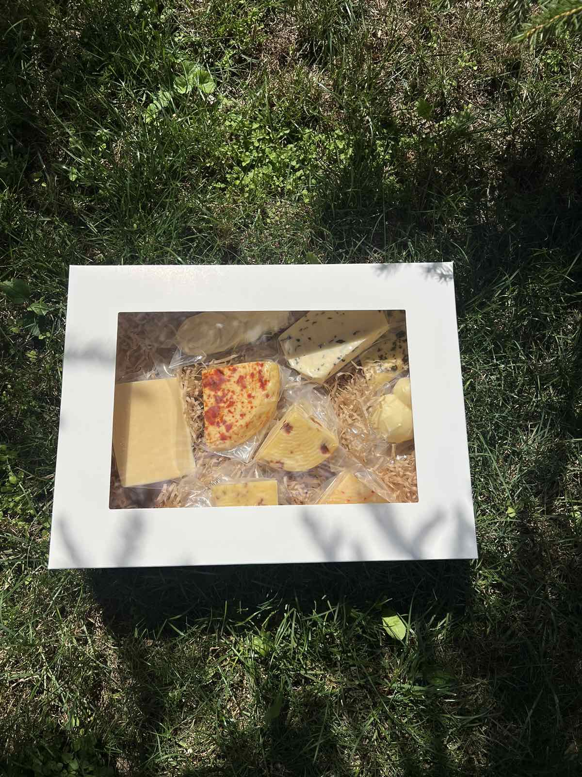 зображення_viber_2025-08-13_13-52-04-275