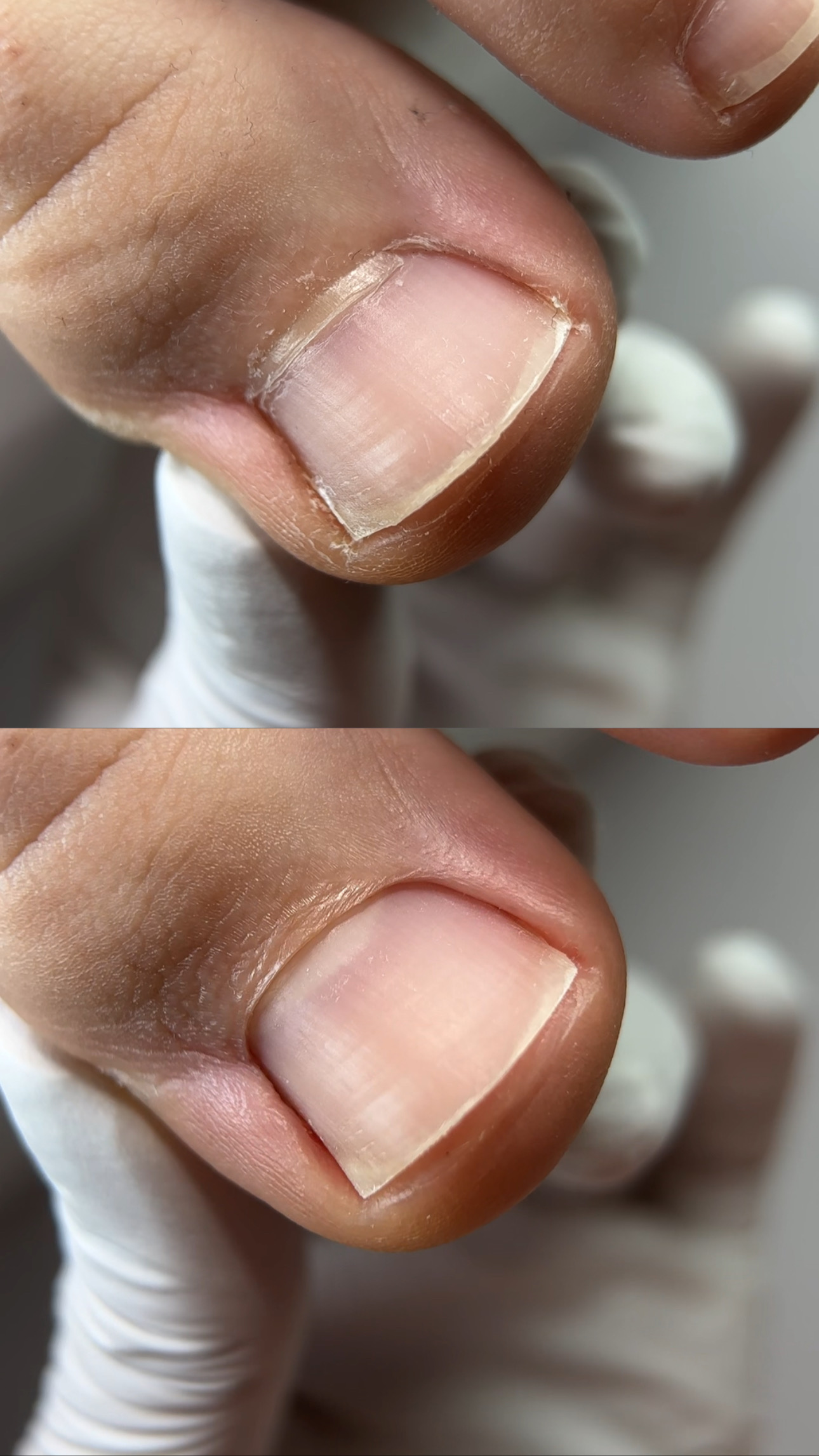 3299A618-C9D2-49A8-9681-406F9F633AC9