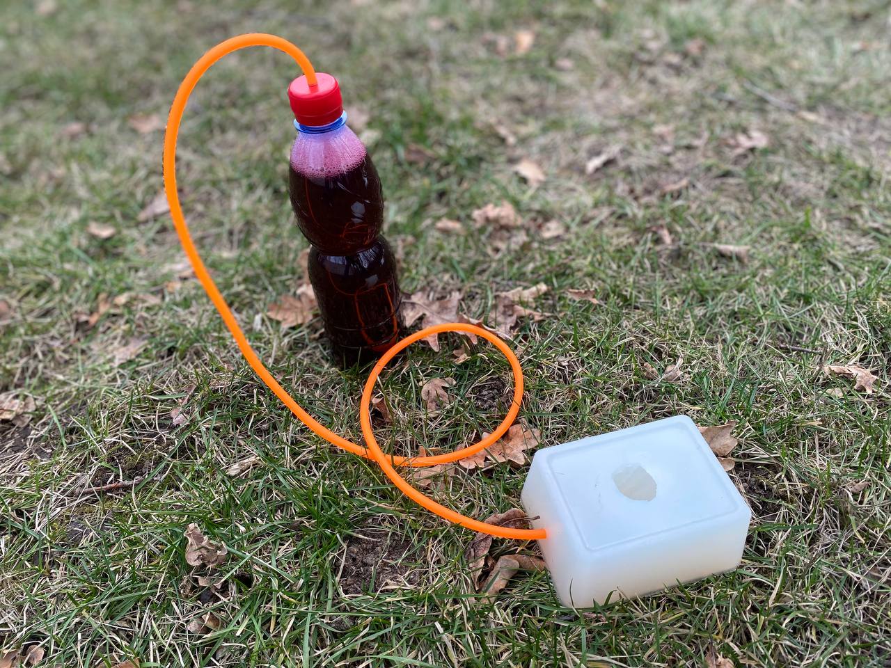 photo_2025-03-24_13_26_23