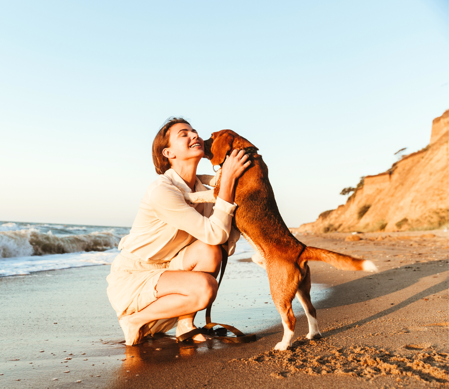 krankenversicherung_haustiere