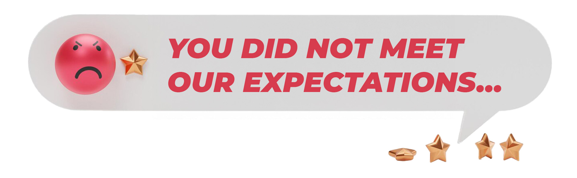 You_did_not_meet_our_expectations