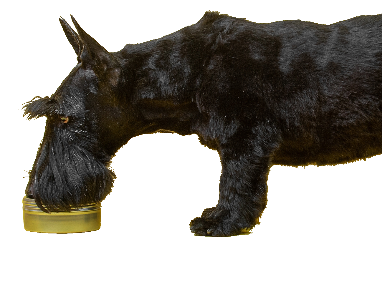 MagicEraser_231115_235645