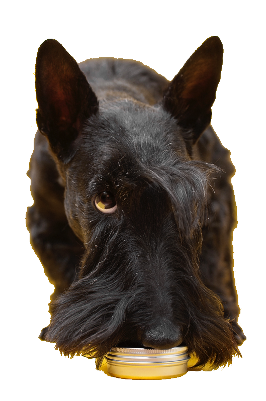 MagicEraser_240916_193601