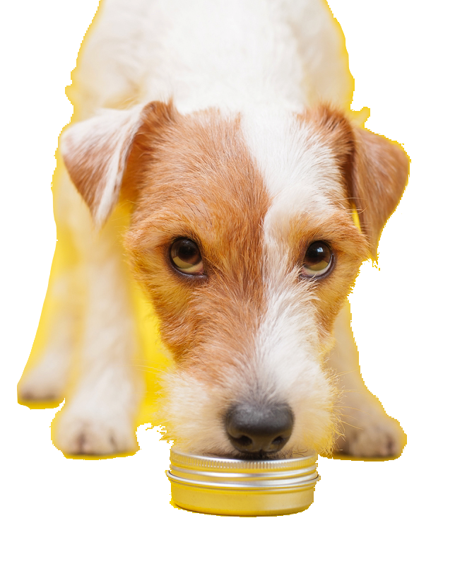 MagicEraser_240916_193903