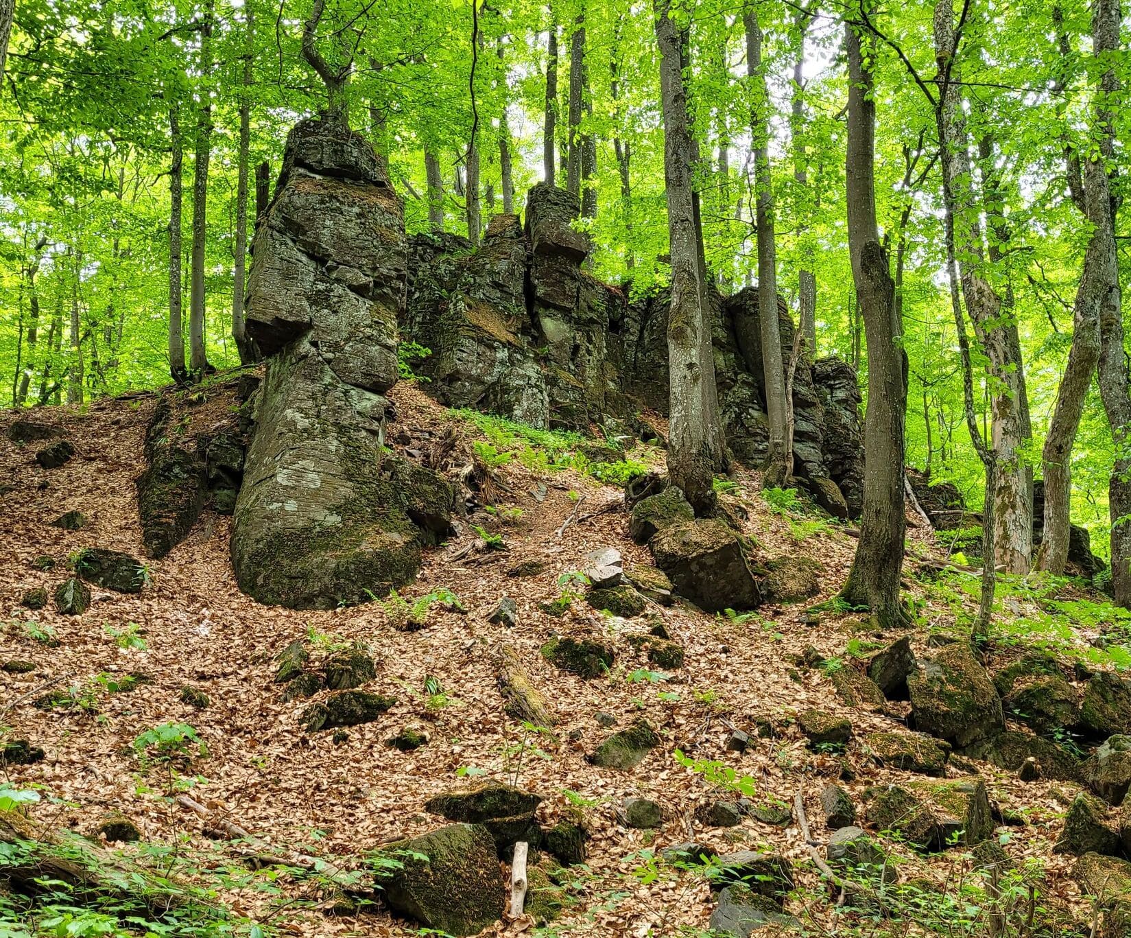 gora_antalovetska_polyana_vershina_1