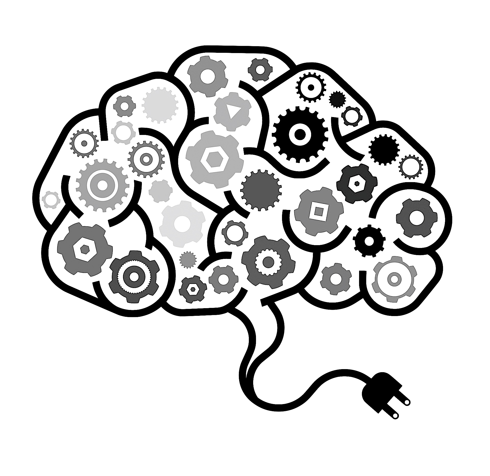 brain