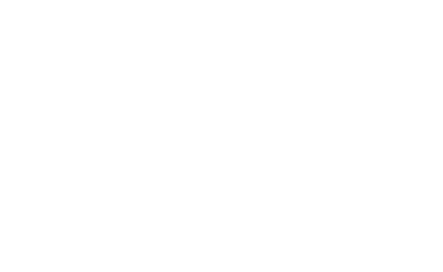 Лого_Academy-white.png