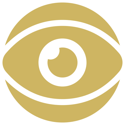 vision