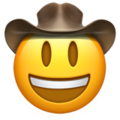 cowboy-hat-face_1f920