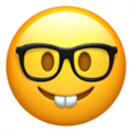 nerd-face_1f913